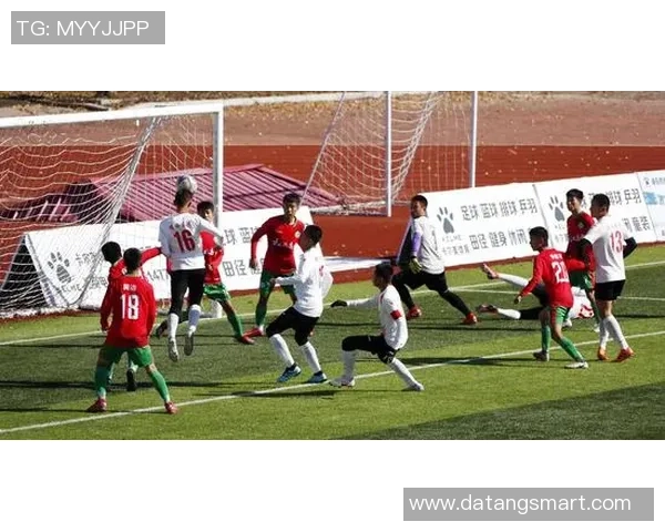 上海足球队的转型之路：从传统强队到现代战术的深度解析